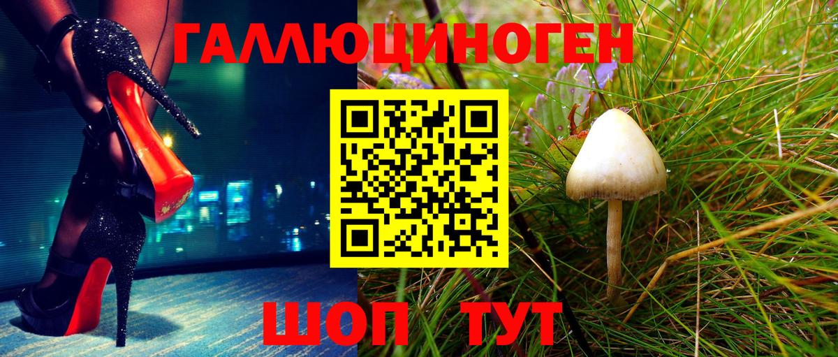 Богородицк  закладка  Вход с VPN  Псилоцибиновые грибы Magic Shrooms 
